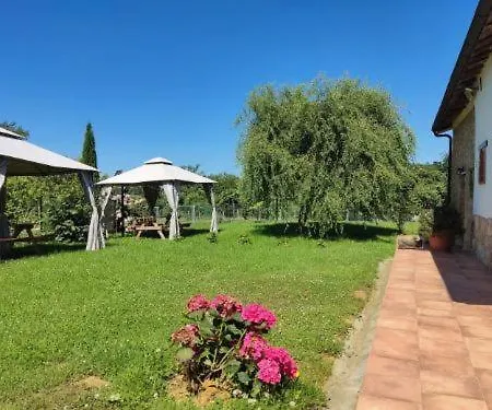 Sagasta Rural - * Oviede