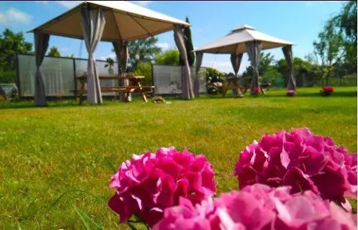 Sagasta Rural - * Oviedo