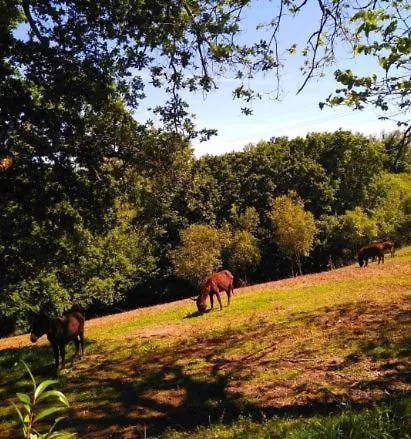 Sagasta Rural - Casa rural Oviedo